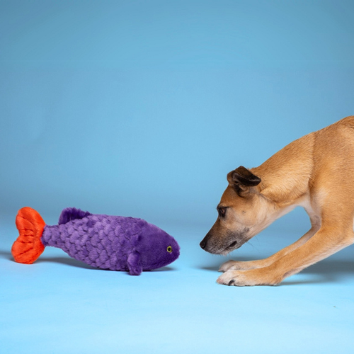 Fluff & Tuff Cici the Tropical Fish Plush Dog Toy