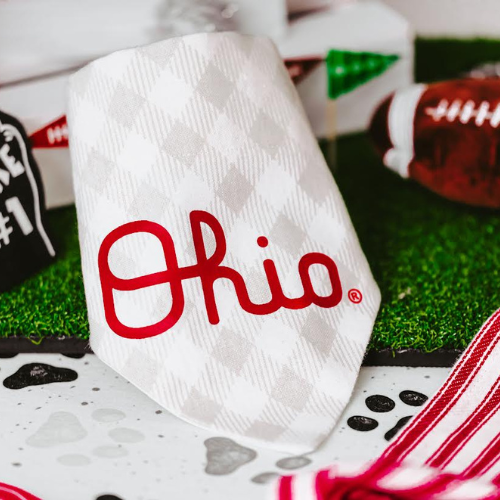 Top Rocks Script Ohio on Gray Plaid Dog Bandana
