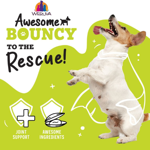 Weruva Awesome Functions Bouncy Beef & Riceberry Canned Dog Food