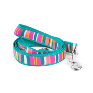 The Worthy Dog Fiesta Stripe Dog Lead - Mutts & Co.