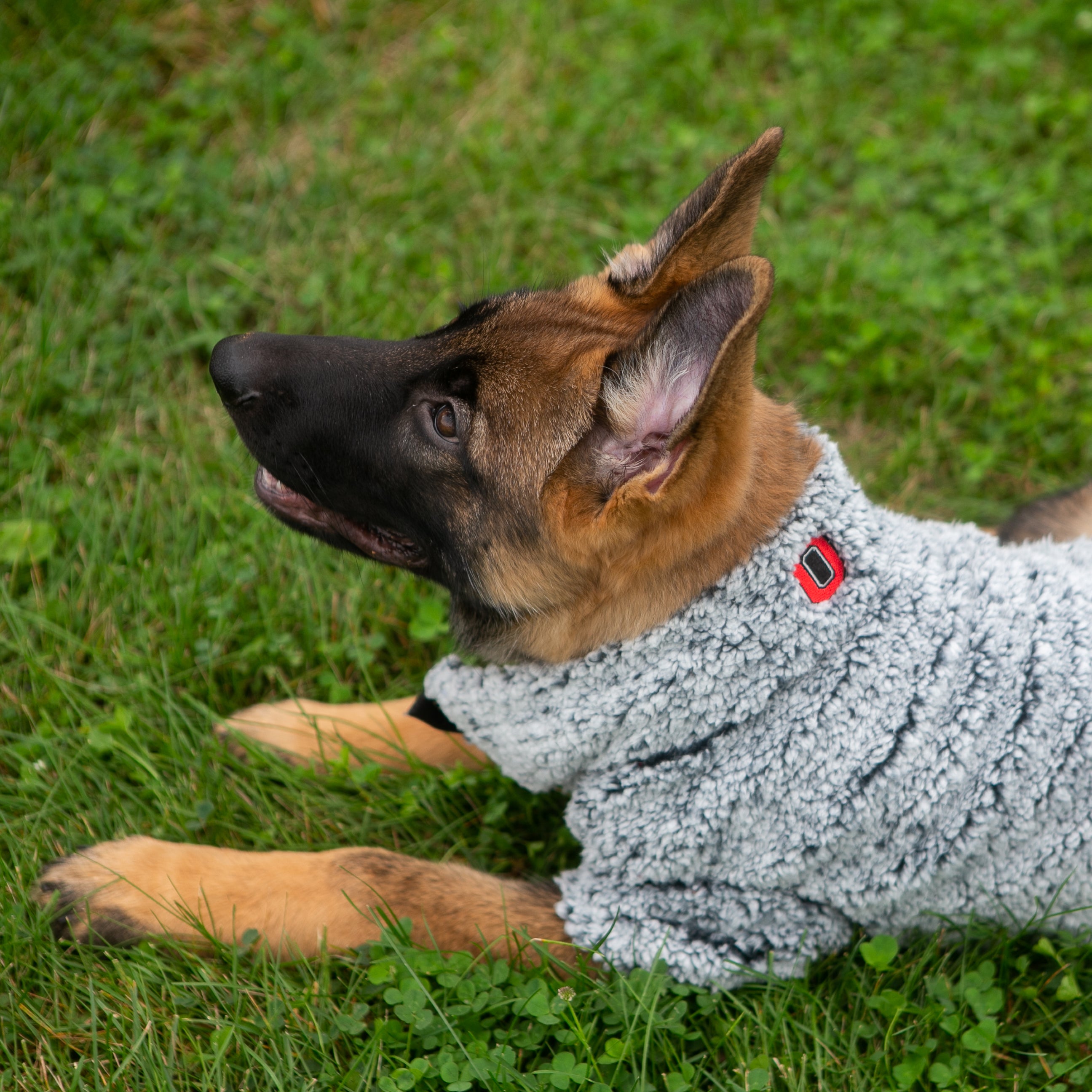 The License House OSU Wubby Fleece Quarter Zip - Mutts & Co.