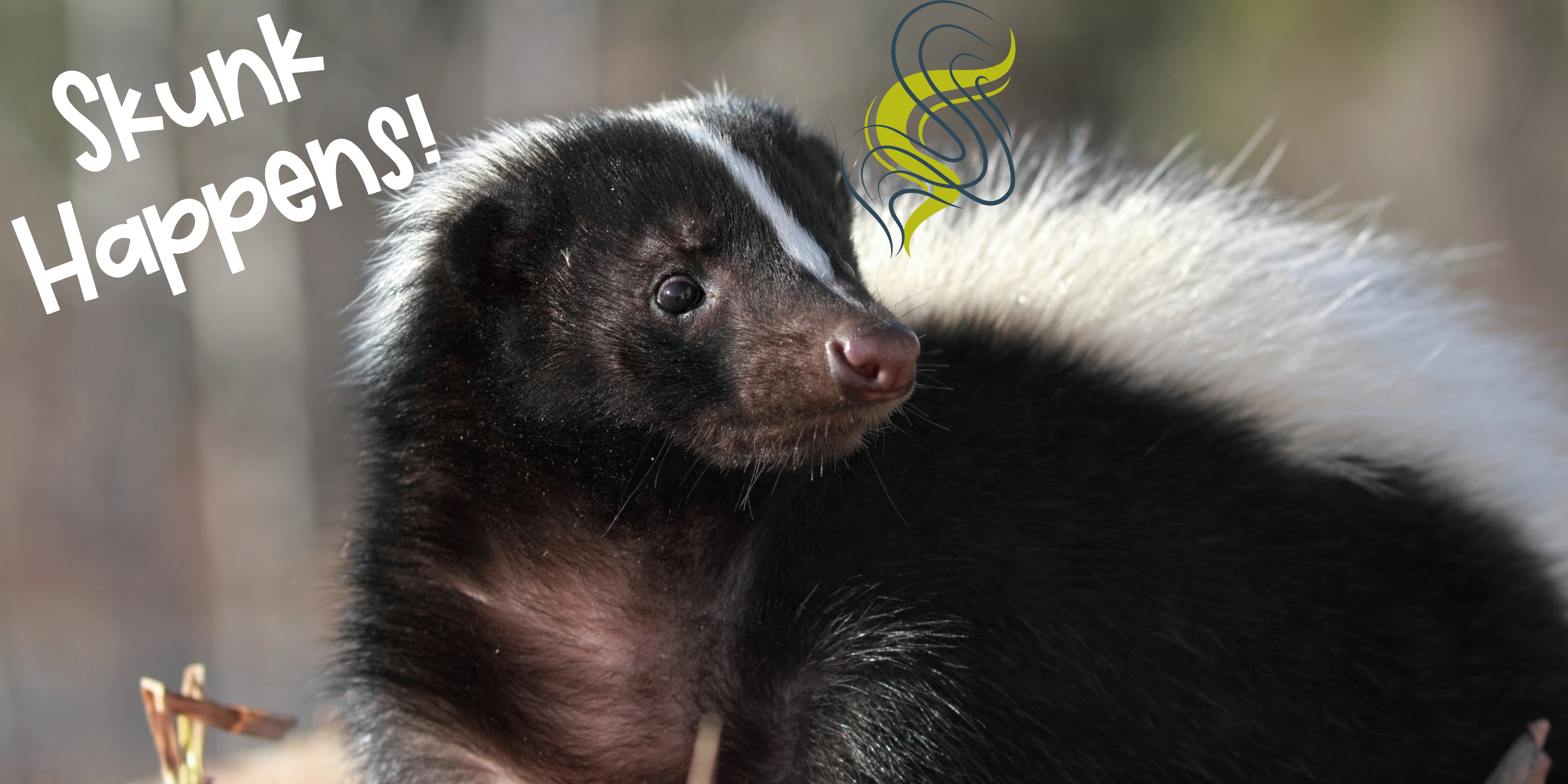 Skunk Happens!