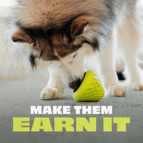 Benebone Bounce Natural Rubber Cone Enrichment Dog Toy