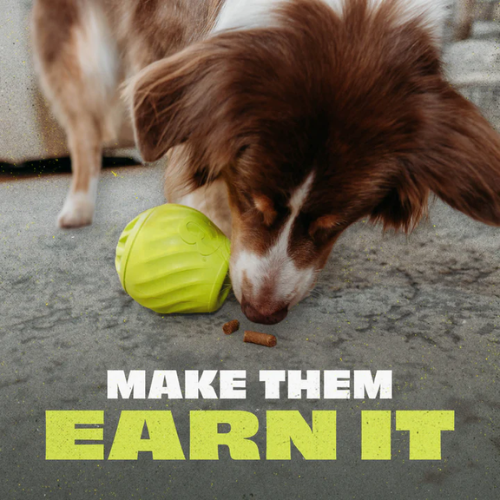 Benebone Bounce Natural Rubber Pawbler Enrichment Dog Toy