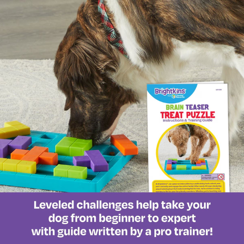 Brightkins Dog Brain Teaser Interactive Treat Puzzle Dog Toy