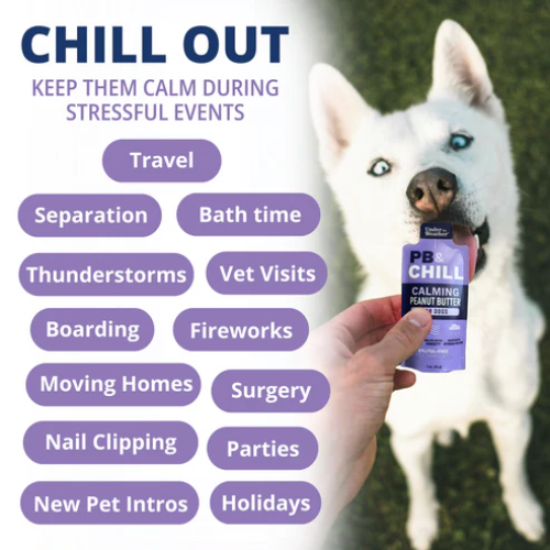 Under The Weather PB & CHILL™ Calming Peanut Butter For Dogs 1oz Packet