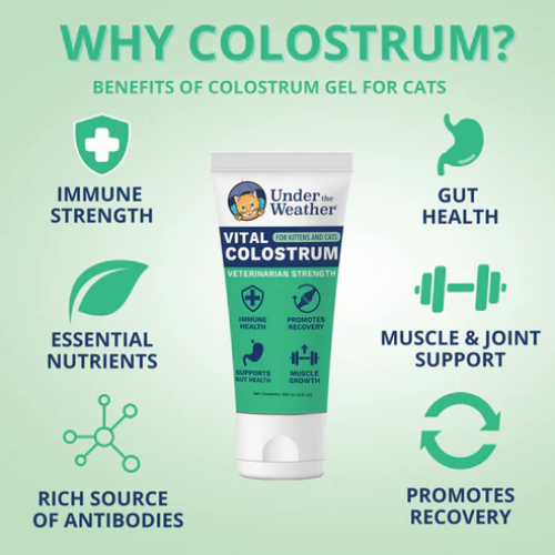 Under The Weather Vital Colostrum Squeezable Gel for Cats 3.5oz