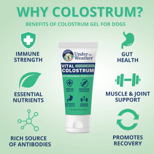 Under The Weather Vital Colostrum Squeezable Gel for Dogs 3.5oz