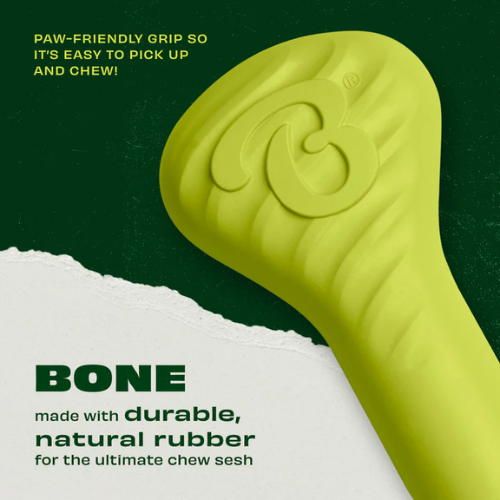 Benebone Bounce Natural Rubber Bone Chew Dog Toy