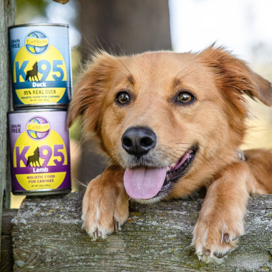 Earthborn Holistic K95 95% Real Lamb Grain-Free Dog Food, 13-oz - Mutts & Co.