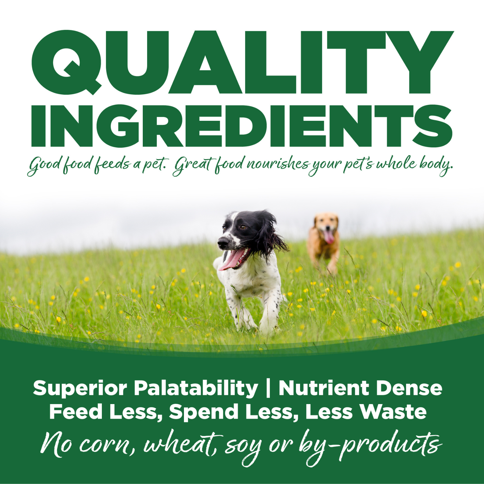 NutriSource Turkey & Rice Formula Canned Dog Food