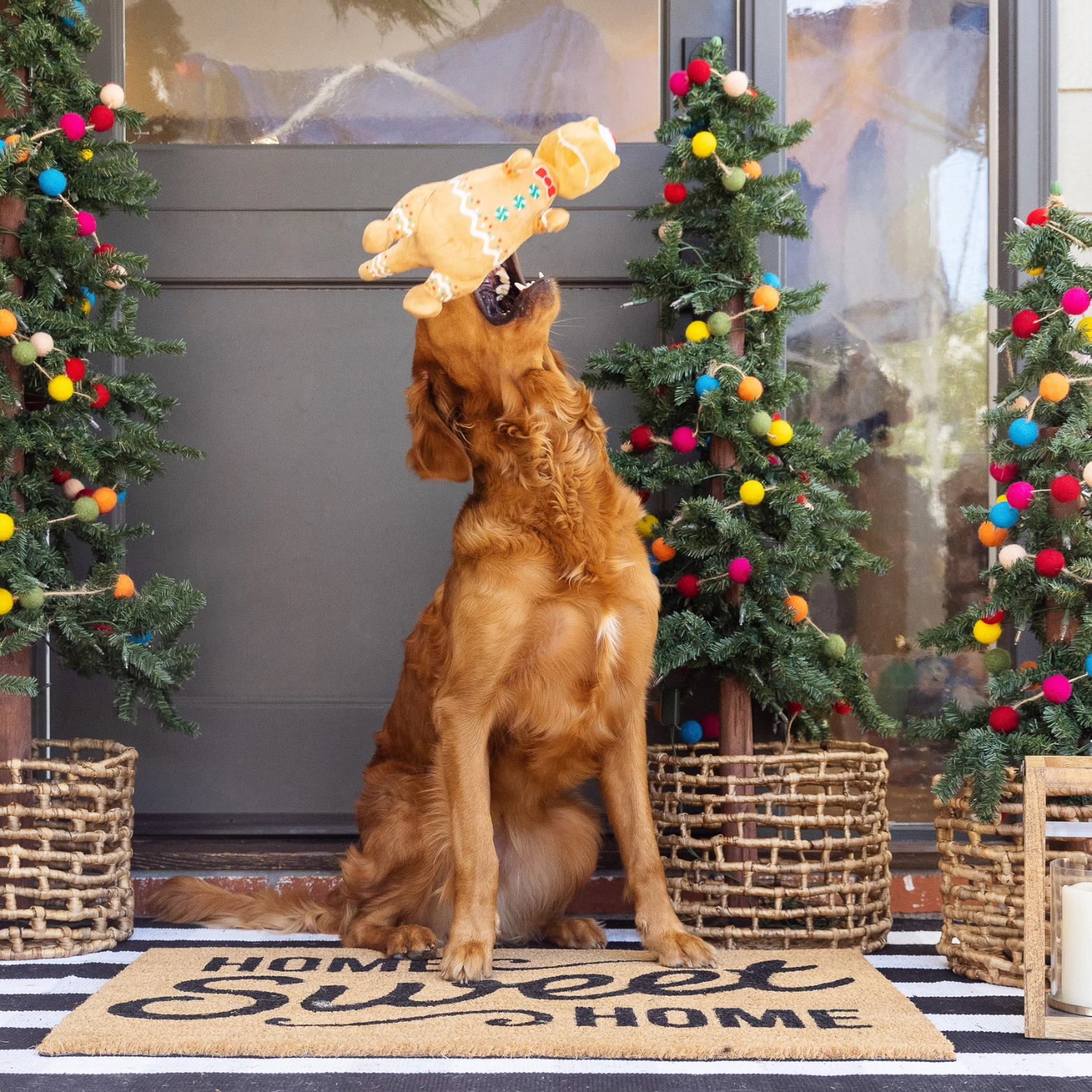 Pet Shop by Fringe Studio Cookie-Saurus Plush Dog Toy