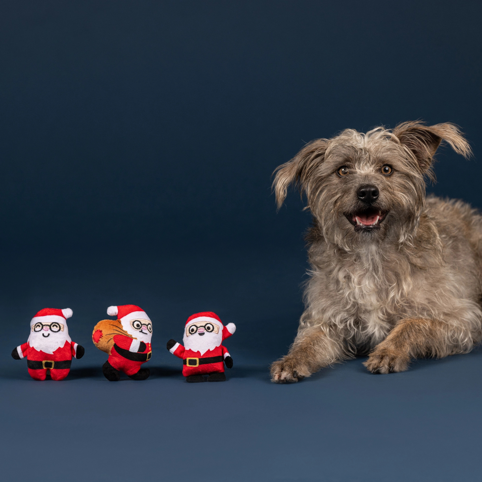 Pet Shop by Fringe Studio Rebel Wo A Claus 3-Piece Set Plush Dog Toy