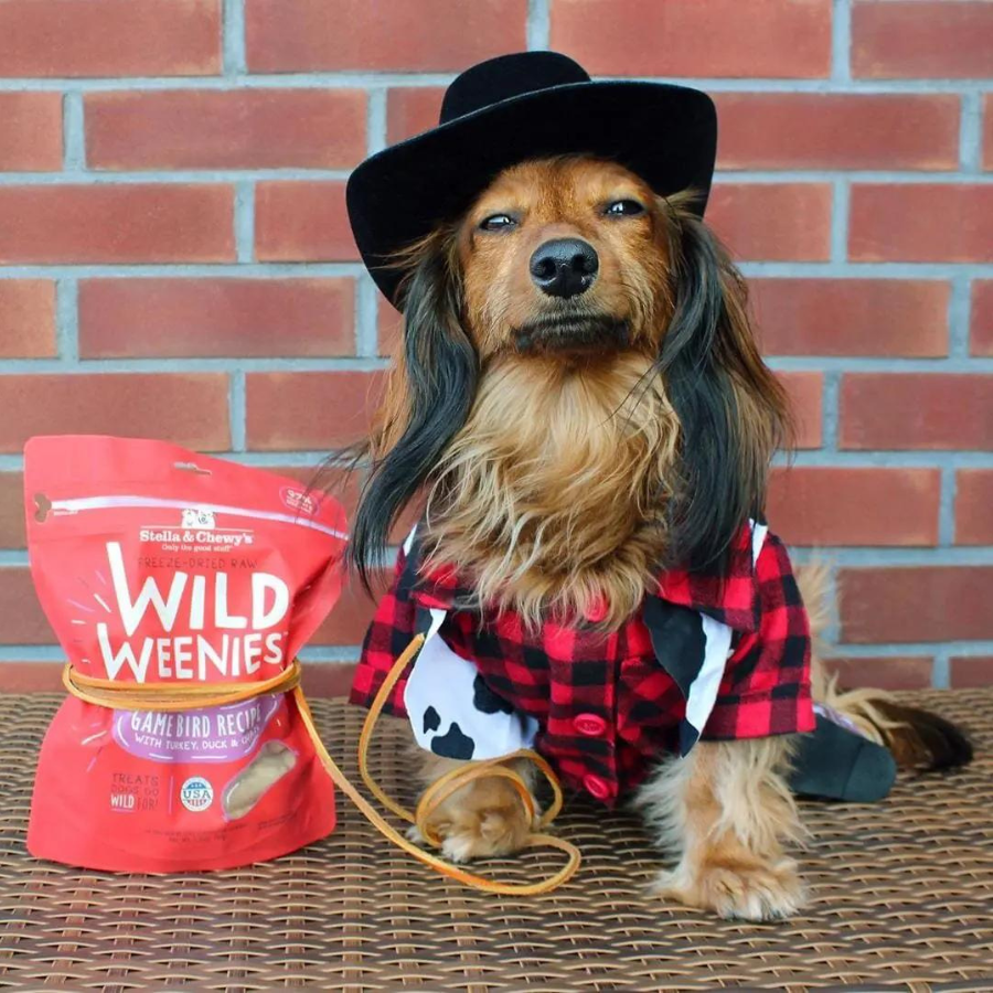 Stella & Chewy's Wild Weenies Game Bird Recipe Freeze-Dried Dog Treats 3.25 oz - Mutts & Co.
