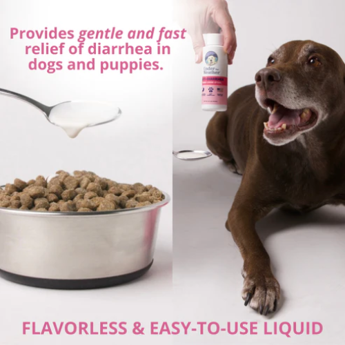 Under The Weather Anti-Diarrhea Liquid For Dogs 4oz