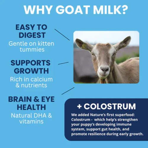 Under The Weather Goat Milk Replacer with Colostrum Powder for Kittens 12oz