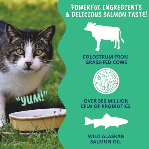 Under The Weather Vital Colostrum Squeezable Gel for Cats 3.5oz