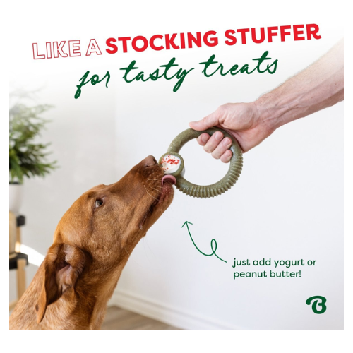Benebone Peppermint Flavored Ring Dog Chew Toy