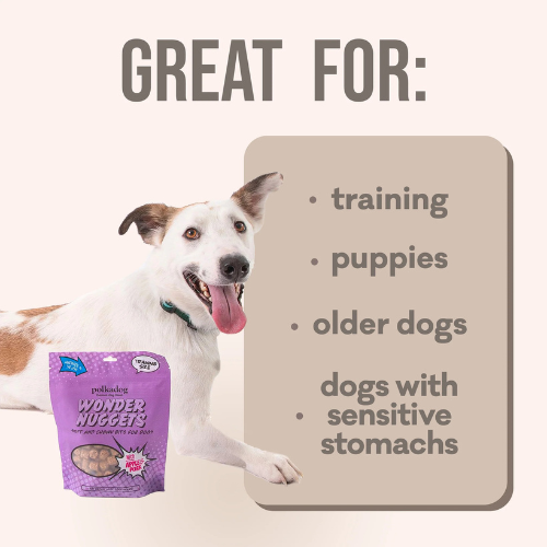 Polka Dog Wonder Nuggets Apple & Pork Soft & Chewy Dog Treats, 10-oz bag