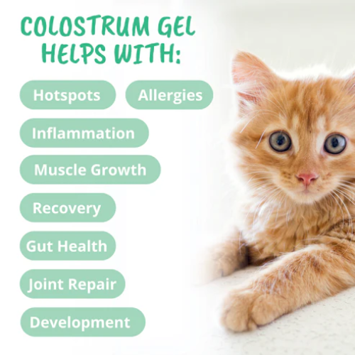 Under The Weather Vital Colostrum Squeezable Gel for Cats 3.5oz
