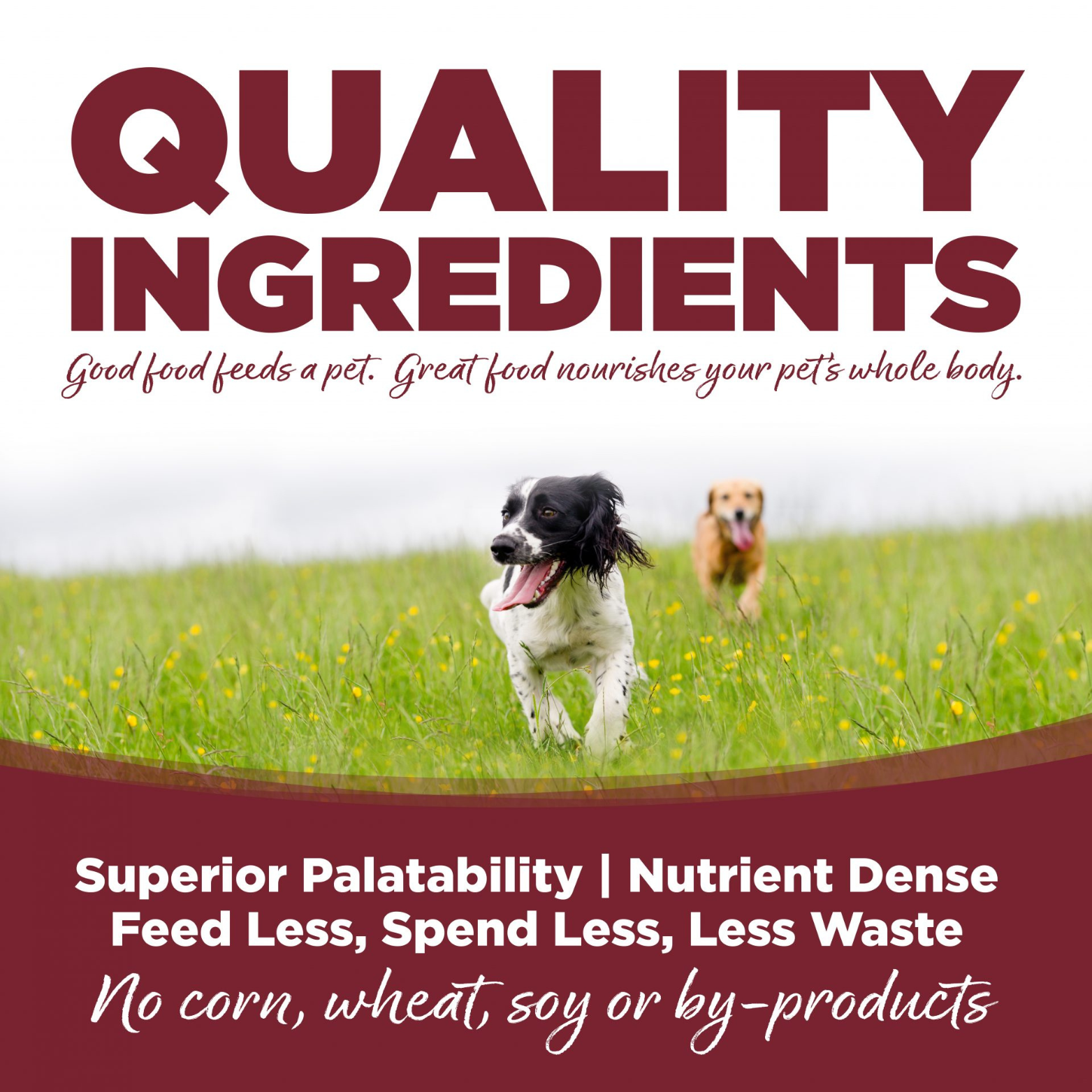 NutriSource Beef & Rice Formula Canned Dog Food