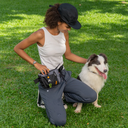 OllyDog Backcountry Day Bag Dog Treat Pouch