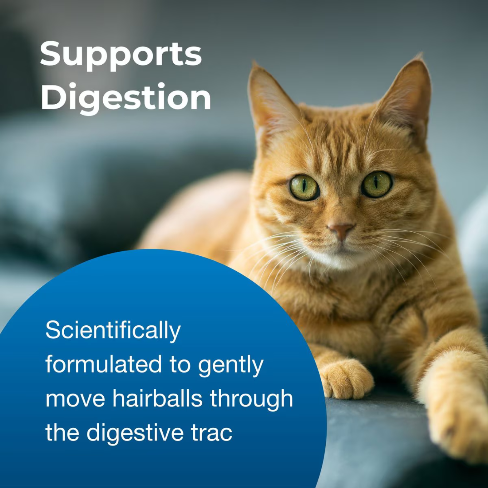 PetAg® Hairball Natural Solution Gel for Cats 3.5oz