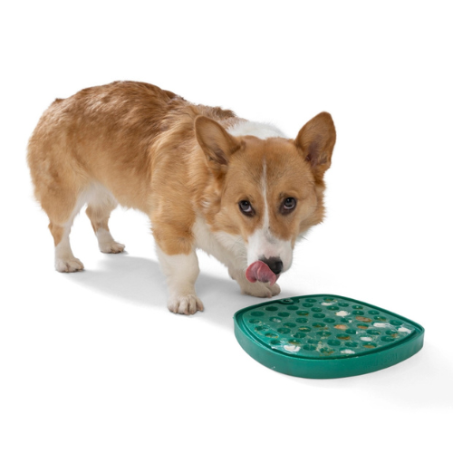 West Paw Design Waves Feast Mat Lick Mat & Slow Feeder Combo