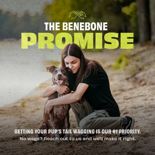 Benebone Bounce Natural Rubber Ball Fetch Dog Toy