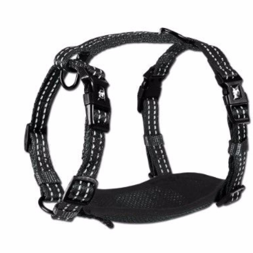 Alcott Adventure Harness Black