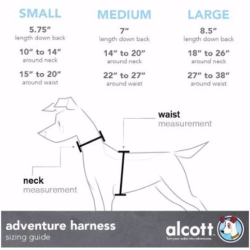Alcott Adventure Harness Black