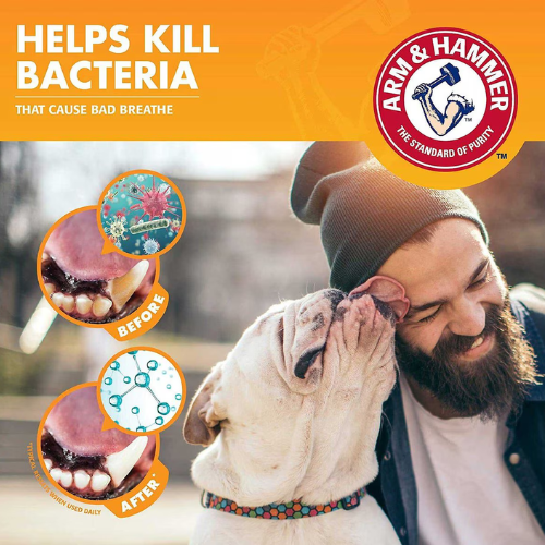 Arm & Hammer Fresh Breath Beef Flavored Enzymatic Toothpaste Dog Dental 2.5 oz