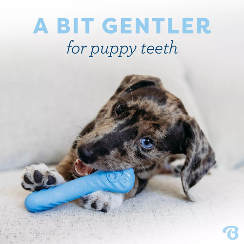 Benebone Puppy Wishbone & Rubber Pack Chew Toy, 2 pack