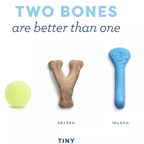 Benebone Puppy Wishbone & Rubber Pack Chew Toy, 2 pack
