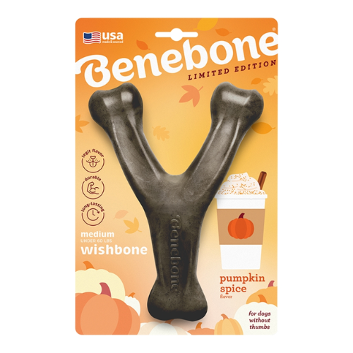 Benebone Pumpkin Flavored Wishbone Dog Chew Toy