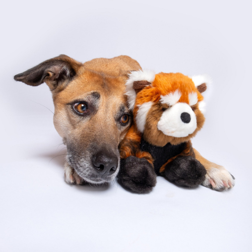 Fluff & Tuff Archie Red Panda 12" Plush Dog Toy