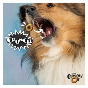 Fromm Crunchy O's Bacon Blasters Dog Treats