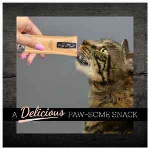 Fussie Cat Puree Cat Treats Sardine