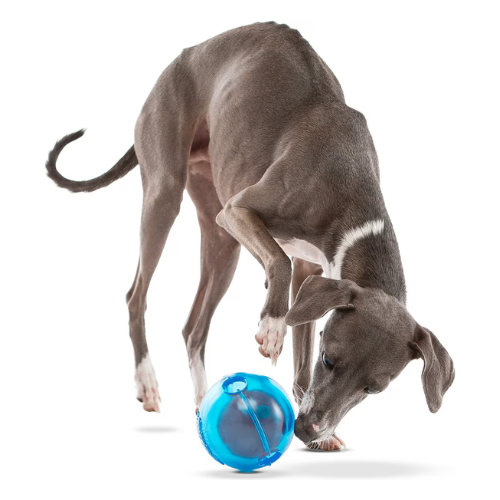 Guru Ball Interactive Treat Dispensing Dog Toy