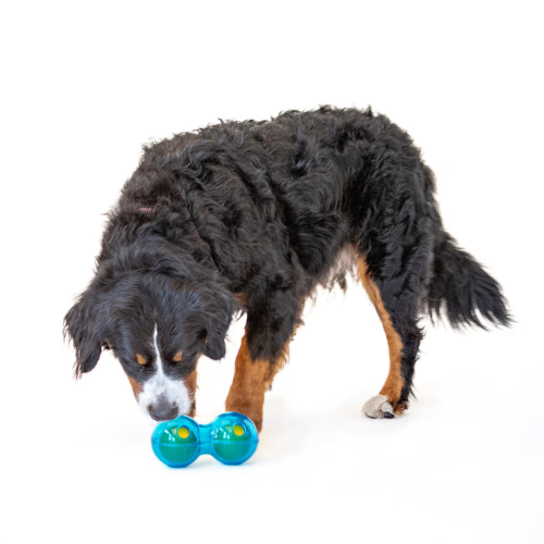 Guru Duo Ball Treat Dispensing Dog Toy, Medium