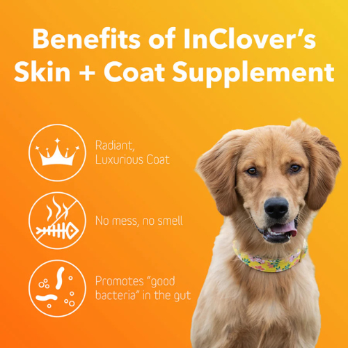 InClover Skin & Coat Supplement for Dogs + Cats (BioRadiant) 100g