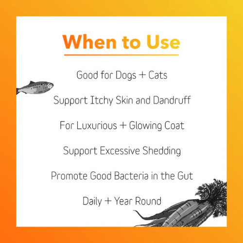 InClover Skin & Coat Supplement for Dogs + Cats (BioRadiant) 100g
