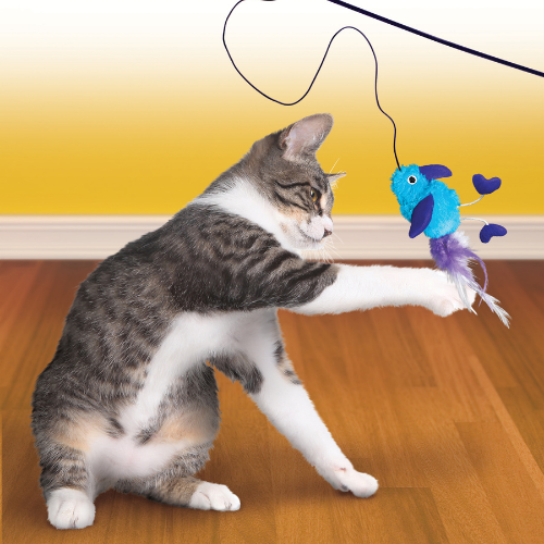 KONG Active Feather Teaser Cat Toy, Assorted Colors