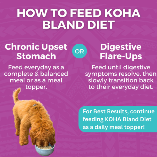 Koha Limited Ingredient Wet Bland Diet Beef & White Rice Recipe for Dogs 12.5 oz Pouch