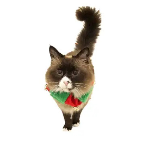Midlee Designs Christmas Plush Bell Collar for Dogs
