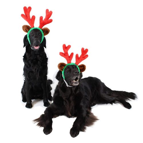 Midlee Designs Christmas Reindeer Antlers with Ears Headwear for Dogs