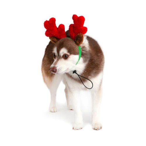 Midlee Designs Christmas Reindeer Antlers with Ears Headwear for Dogs