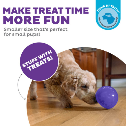 Outward Hound by Planet Dog Lil Snoop Interactive Treat Dog Toy
