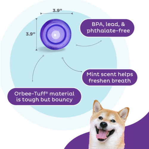 Outward Hound by Planet Dog Lil Snoop Interactive Treat Dog Toy