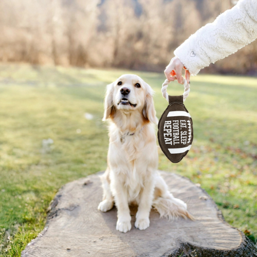 Pavilion Canvas Football Rope Tug Dog Toy, 12"